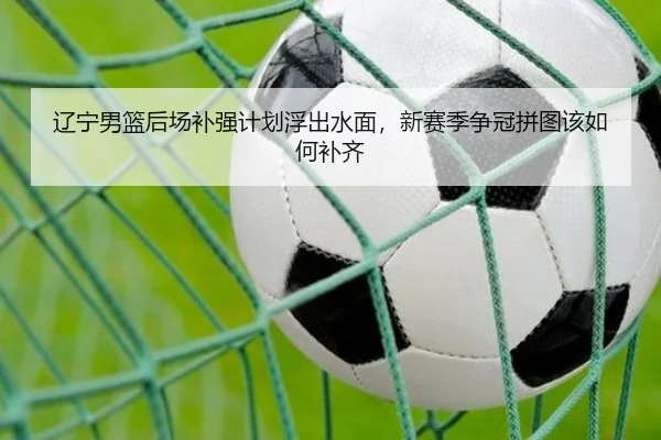 辽宁男篮后场补强计划浮出水面，新赛季争冠拼图该如何补齐